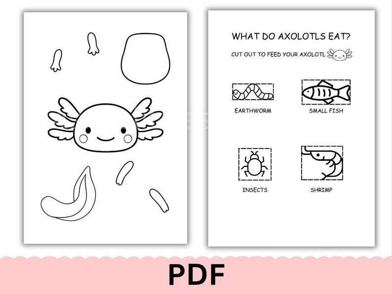Axolotl Worksheets.pdf Axolotl Build & Play PDF, Printable Axolotl Cut Out Craft, Educational ...