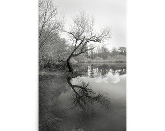 Poster con albero riflesso monocromatico, stampa fotografica del lago