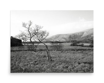 Poster con paesaggio montano, stampa artistica minimalista con albero