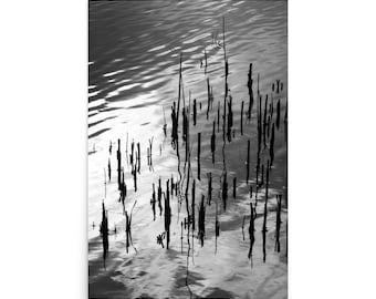 Poster Riflessi d'Acqua / Stampa Moderna in Bianco e Nero