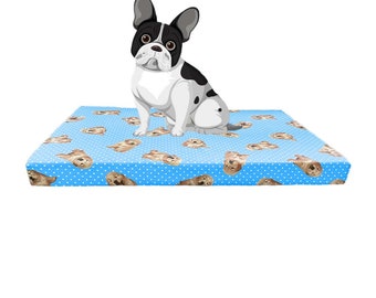 Made In Italy Dog and Cat Bed - Machine Washable Removable Cover - Handcrafted Dog Sofa - M L XL