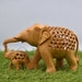 see more listings in the Elephants section