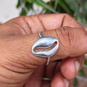 May include: A silver-toned ring featuring a polished cowrie shell design as the central focal point. The shell element has a smooth, rounded top surface and a textured, ridged opening detail. The band is thin and circular, connecting to the shell.