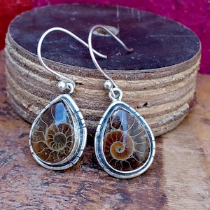 Pode incluir: Brincos de prata em forma de gota com um design de amonite fossilizada. Os brincos apresentam uma moldura prateada em torno de um fóssil espiral marrom e bege. Fecho de gancho.