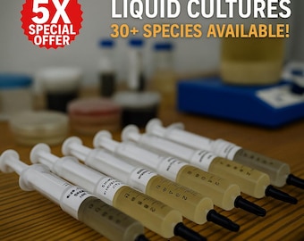 5x Coltura liquida di funghi / Coltiva i tuoi funghi