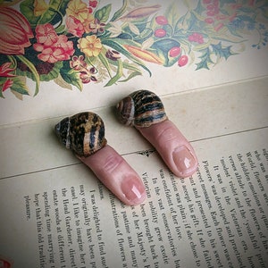 May include: Two snail shell rings on a finger, resting on an open book with a floral illustration. The book has text about flowers and their meanings.