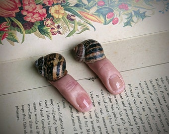 Snail shell finger nail oddity and curiosity  polymer clay sculpture weird ugly creature