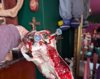 Horror inspired sheep skull with mixed media. Blood , brains dark home decor