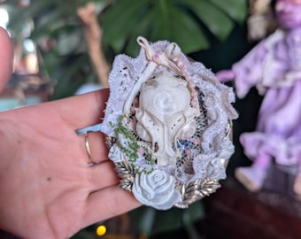 Teschio di uccello, uria, mini osso, cornice per foto, arte gotica alternativa, decorazione per la casa