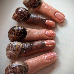 Snail shell fingersnail oddity and curiosity. Polymer clay sculpture weird whimsical ugly creature