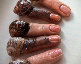 Snail shell fingersnail oddity and curiosity. Polymer clay sculpture weird whimsical ugly creature