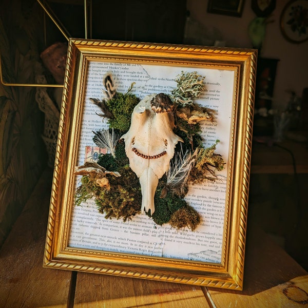 Roe deer skull mount decorative picture frame. Moss dried flowers oddities and curiosities. bones. Vulture culture. Gothic. Witchy.