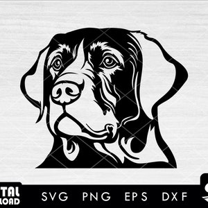 Black labrador face svg, labrador dog svg, black Labrador svg, labrador retriever svg, for dog lovers