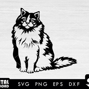 Katze SVG, süße Katze svg, Katze Clipart, lustige Katze svg, Katzenliebhaber svg