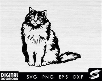 Cat SVG, cute cat svg, cat clipart, funny cat svg, cat lover svg