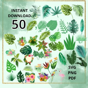 Tropical leaves bungle 50 pieces SVG PNG PDF tropical color colorful leaf svg monstera svg palm leaf svg fern svg tropical flowers birds