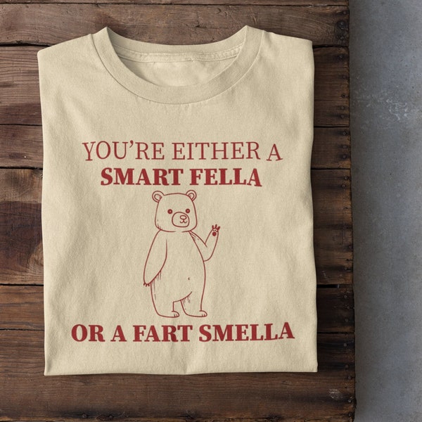 Are You A Smart Fella Or Fart Smella T-Shirt, Retro Cartoon Hoodie, Weird Sweatshirt, Meme Shirt, Trash Panda Shirt, Gift for women