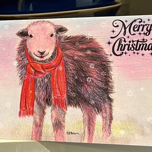 Sheep in scarf, pack of 10 Christmas cards