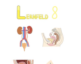 Medizinische Fachangestellte - Lernzettel LF 8