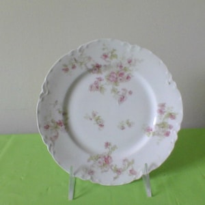 Theodore Haviland Limoges France Bread and Butter plates