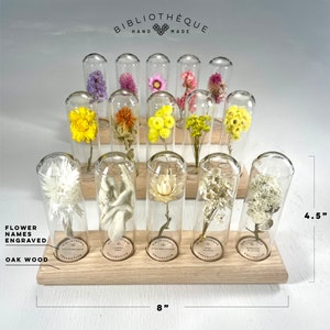 WhatTheFlower, Set of 3 flower decorations, 15 different dried flowers display, durable, flower decorations