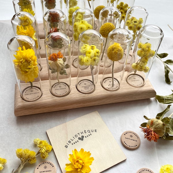 WhatTheFlower decoration, yellow dried flowers & white oak, wood arrangement, dried flowers, durable, flower decorations