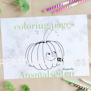 4 Coloring Pages * Friends Pumpkin Picture Spider * Cute Animals * Instant Download * Digital Download PDF + JPG * Halloween * Digital Coloring Pages