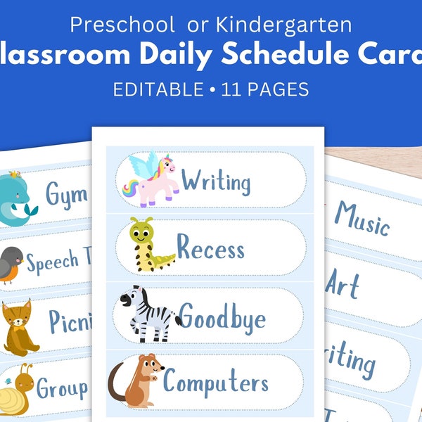 EDITABLE Preschool Schedule Cards, 11 Pages, Daycare Routine, Pre-k, Kindergarten Routine, Toddler Daily visual, Homeschool schedule cards