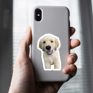 Custom Photo Sticker, Pet Sticker, Personalized Sticker, Laptop Sticker, Car Decal,  Photo Sticker, Holographic option