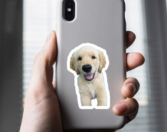 Custom Photo Sticker: Waterproof Vinyl Pet Decal