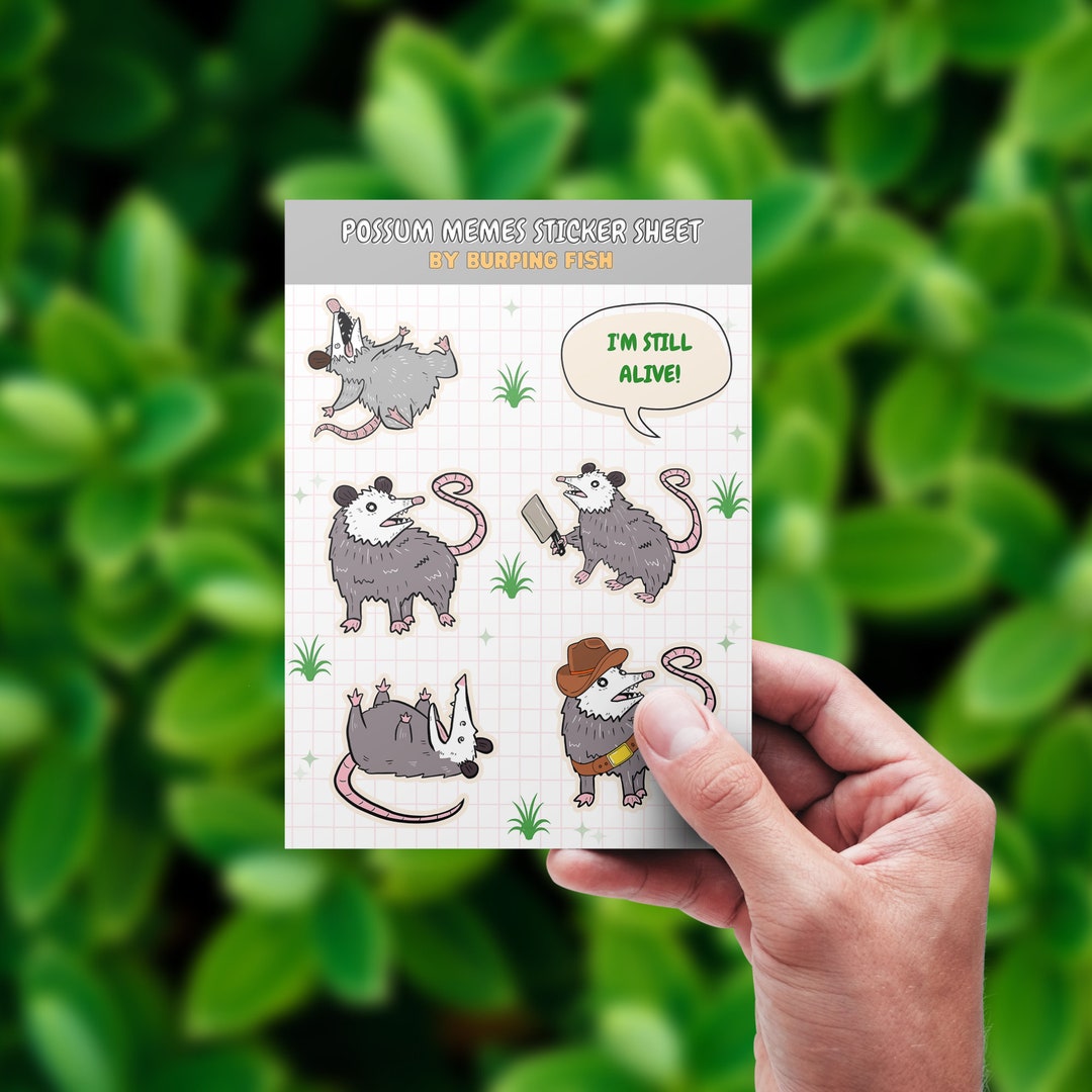 Funny Possum Meme Sticker Sheet: Trash Cat Stickers - Etsy