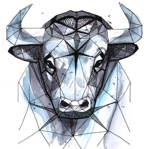Bull in watercolor and pencil