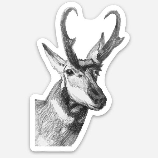 Pronghorn Sticker