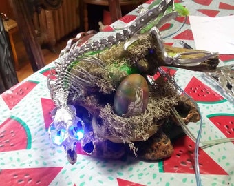 May include: A silver skeletal dragon sculpture with a green moss base and an iridescent egg in a nest. The dragon has blue LED lights in its skull.