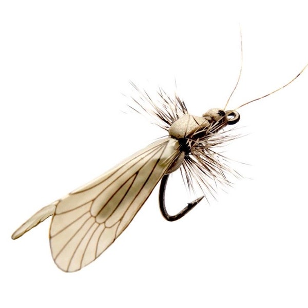 Caddis adultes (Ash Grey) - réaliste- pêche à la mouche - leurre de pêche - mouche sèche - truite, ombre