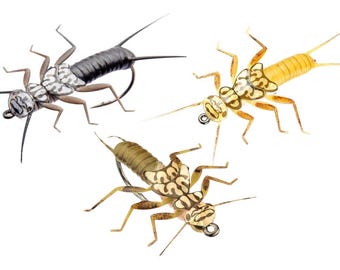 3 Stonefly (32 mm) - Realistic Stonefly Nymphs [Tungsten] - Fly Fishing