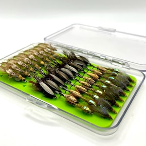 Puede incluir: Una caja de aparejos de pesca con mosca de plástico transparente con un interior verde lima contiene una variedad de moscas artificiales. Las moscas varían en color, incluyendo tonos de marrón, verde y negro, con algunos acentos iridiscentes. La caja está abierta.