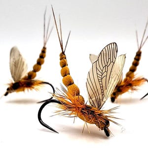 May include: Three artificial fishing flies with black hooks, orange bodies, and tan wings. The flies have a detailed design, with segmented bodies and feathery textures. The wings are translucent with dark vein patterns. The flies are set against a white background.