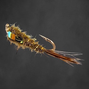 Könnte beinhalten: Eine braune und goldene Fliegenfisch-Köder mit einem blauen, grünen und orangefarbenen Körper.