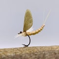 3 pieces - Realistic Mayfly (Cream) - MAY FLY - Size #10 Fly Fishing - Fishing Lure - Beige