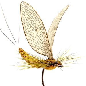 Puede incluir: Primer plano de un señuelo de pesca con mosca seca. El señuelo tiene un cuerpo marrón, alas beige con un patrón de cuadrícula y antenas largas y finas. La mosca está montada en un anzuelo curvo sobre un fondo blanco.