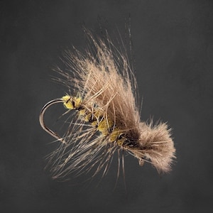 Trockenfliege CDC Caddis [Brown/Yellow] - Fliegenfischen - Angelköder für Forelle & Äsche