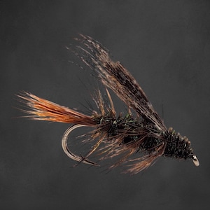 3 Stück Peacock Caddis Nassfliege - Nymphe - Fliegenfischen - Angelköder für Forelle und Äsche