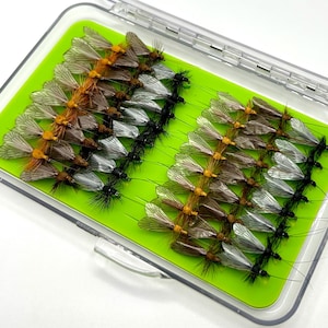 Pode incluir: Uma caixa de pesca com mosca de plástico transparente com uma inserção verde brilhante. A caixa contém filas de moscas artificiais em várias cores, incluindo castanho, preto e bege. As moscas têm asas delicadas.