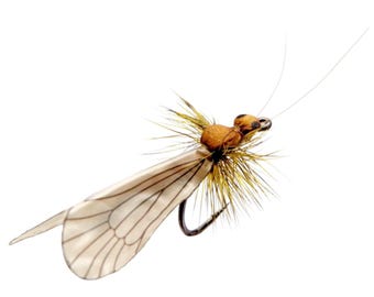 3 pieces - Adult Caddis (Yellow) - Fly fishing - Fishing lures - Realistic dry fly - Extended body - Artificial flies - Trout, Grayling