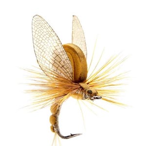May include: A brown and tan fly fishing lure with a realistic design, featuring wings, a body, and a tail. The lure is tied on a hook.