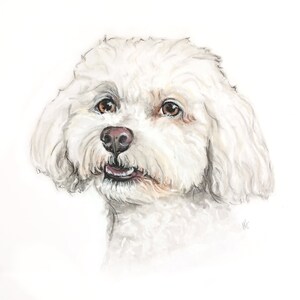 May include: A watercolor painting of a white dog with brown eyes. The dog is looking to the right of the image and has its mouth slightly open, showing its teeth. The dog's fur is fluffy and appears to be soft.