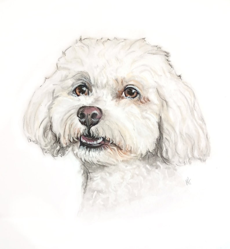 May include: A watercolor painting of a white dog with brown eyes. The dog is looking to the right of the image and has its mouth slightly open, showing its teeth. The dog's fur is fluffy and appears to be soft.