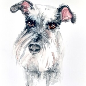 May include: Watercolor painting of a small, white and gray dog with black fur around its eyes and nose. The dog has pink ears and brown eyes. The painting is done in a realistic style.