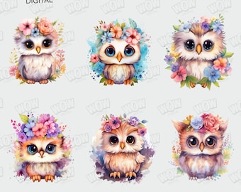 Baby Owl Clipart 25 High-quality PNG With Transparent Background Vector ...